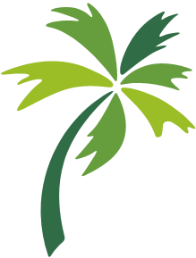 Illustration of a palm tree