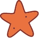Starfish icon